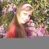 lenysy